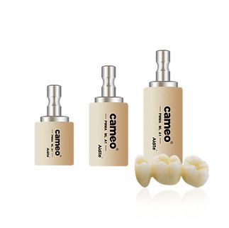 CAMEO PMMA Multilayer Blocks (≥120[MPa])